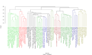 Trentinosociale: cluster analysis